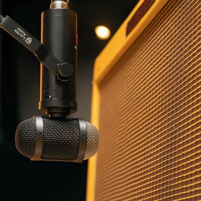 LAUTEN AUDIO ローテンオーディオ LS-308 コンデンサーマイク 使用イメージ