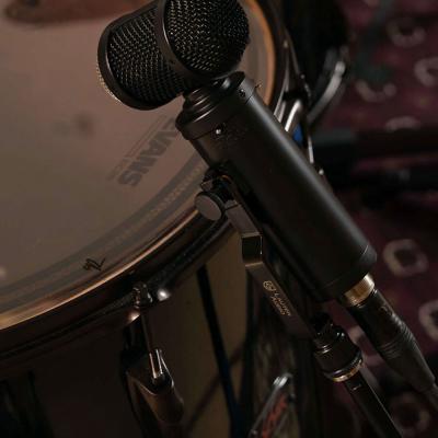 LAUTEN AUDIO ローテンオーディオ LS-308 コンデンサーマイク 使用イメージ