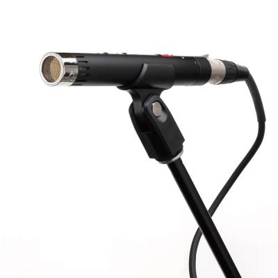 LAUTEN AUDIO ローテンオーディオ LA-120 V2 コンデンサーマイク 使用イメージ