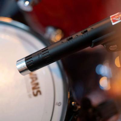 LAUTEN AUDIO ローテンオーディオ LA-120 V2 コンデンサーマイク 使用イメージ