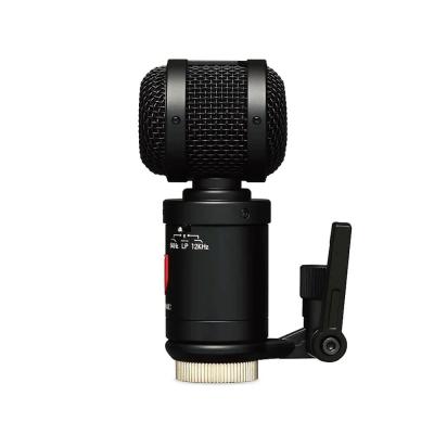 LAUTEN AUDIO ローテンオーディオ TOM MIC コンデンサーマイク 側面