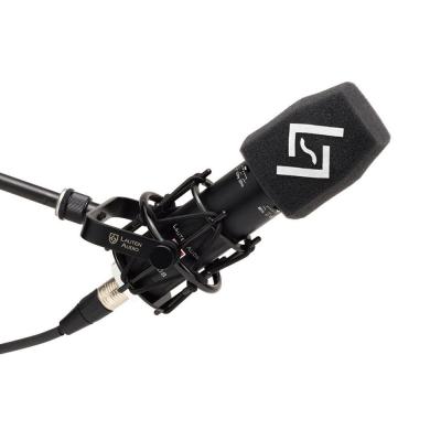 LAUTEN AUDIO ローテンオーディオ LS-208 Schulze-Brakel Windscreen ウィンドスクリーン 使用イメージ