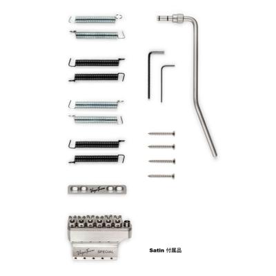 Vega-Trem VT1 Special standard Satin ストラト用リプレイスメントブリッジ 6穴タイプに対応 トレモロブリッジ ベガトレム 付属品画像