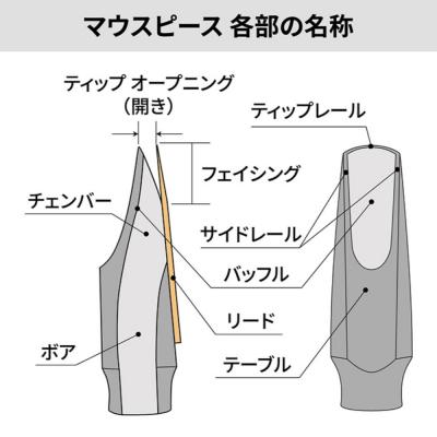 サイオス SYOS Steady 8 Gray & White ソプラノサックス用マウスピース 名称画像