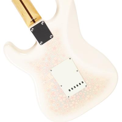 Tokai トーカイ AST-101 SKR エレキギター ボディバック画像 2