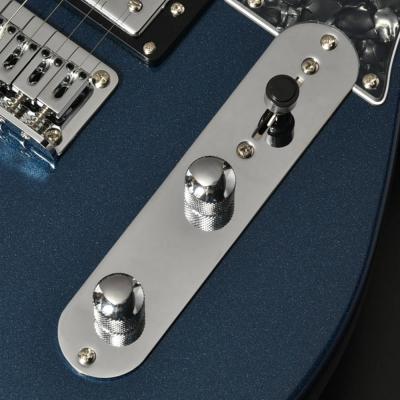 BACCHUS バッカス Universe Series BTE-4-RSM/R-BPPG DLPB エレキギター コントロール部