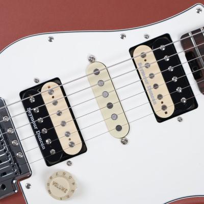 【中古】 EDWARDS エドワーズ E-SN-190MF 2017年製 藤岡幹大モデル エレキギター 詳細画像