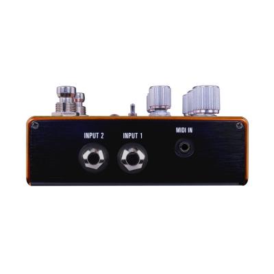 Source Audio ソースオーディオ SA281 PATHWAYS Reverb + Tremolo 側面