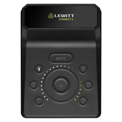 LEWITT ルーイット CONNECT 2 オーディオインターフェイス