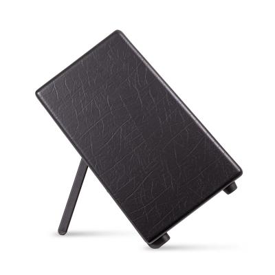 ギター用 パワードスピーカー BLACKSTAR ARTIST FR STANDARD フルレンジ フラットレスポンススピーカー ブラックスター キックスタンド使用時