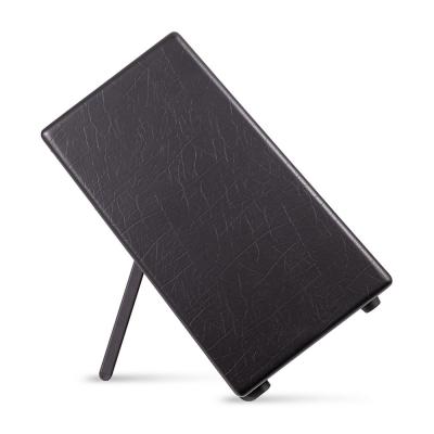 ギター用 パワードスピーカー BLACKSTAR ARTIST FR SPECIAL フルレンジ フラットレスポンススピーカー ブラックスター キックスタンド使用時