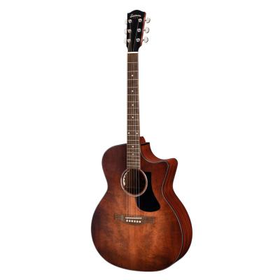 Eastman イーストマン PCH2-GACE-CLA エレアコギター