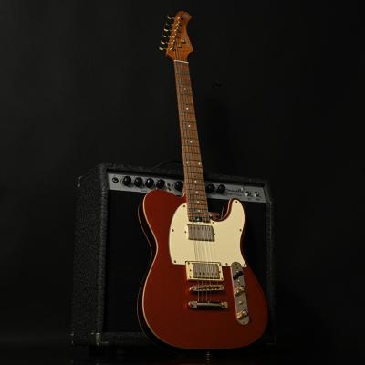 BACCHUS バッカス Global Series GIN-SUNRISE/RSM G-ORG エレキギター ギター全体