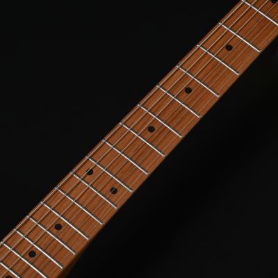 BACCHUS バッカス Universe Series BTE-1-RSM/M-TTPG OWH エレキギター ネック部