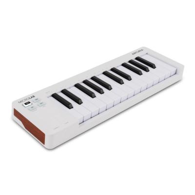 ARTURIA MicroLab mk3 + Analog Lab Pro Bundle USB MIDIキーボードとソフトウェアシンセアナログラボプロのバンドルセット 左斜めアングル画像