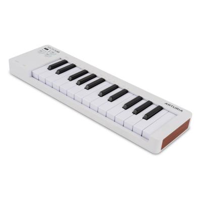 ARTURIA MicroLab mk3 + Analog Lab Pro Bundle USB MIDIキーボードとソフトウェアシンセアナログラボプロのバンドルセット 右斜めアングル画像