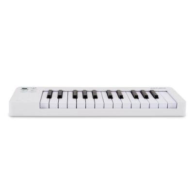 ARTURIA MicroLab mk3 + Analog Lab Pro Bundle USB MIDIキーボードとソフトウェアシンセアナログラボプロのバンドルセット フロント画像