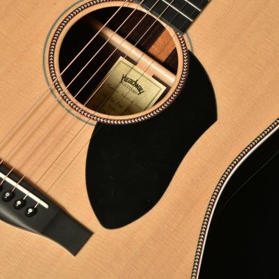 HEADWAY ヘッドウェイ Standard Series The Five/STD Type D CN アコースティックギター ピックガード部