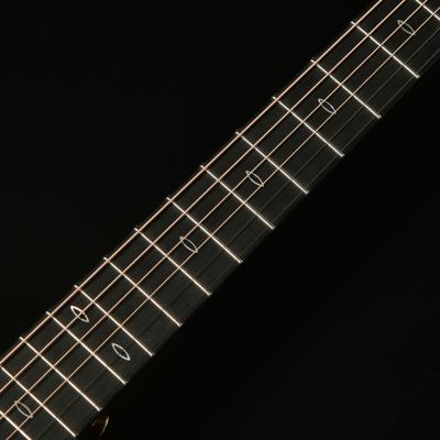 HEADWAY ヘッドウェイ Standard Series The Five/STD Type D CN アコースティックギター ネック部