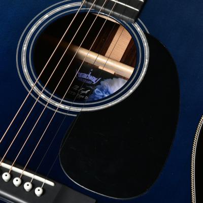 HEADWAY ヘッドウェイ Standard Series The Eagle/STD Type D B-GRD アコースティックギター ピックガード部