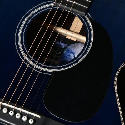 HEADWAY ヘッドウェイ Standard Series The Eagle/STD Type F B-GRD アコースティックギター ピックガード部