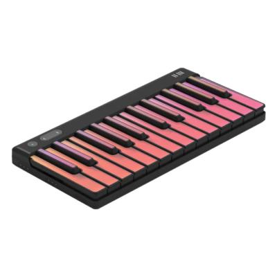 ROLI ロリ PIANO M 24鍵 MIDIキーボード