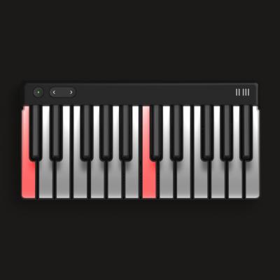 ROLI ロリ PIANO M 24鍵 MIDIキーボード プロモード画像