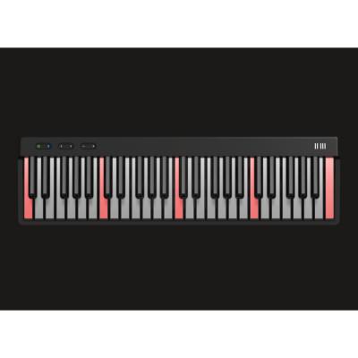 ROLI ロリ PIANO 49鍵 MIDIキーボード プロモード画像