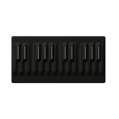 ROLI ロリ SEABOARD M 24鍵 MIDIキーボード MIDIコントローラー 正面画像