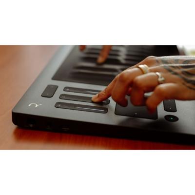 ROLI ロリ SEABOARD 2 49鍵 MIDIキーボード MIDIコントローラー フェーダー画像