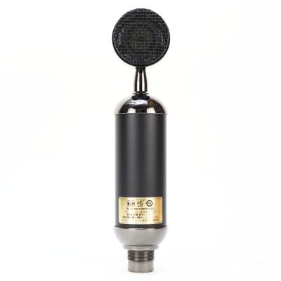【中古】コンデンサーマイク Blue Microphones SPARK SL ブルーマイクロフォン 本体画像 裏