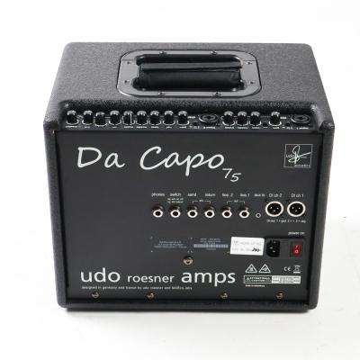 【中古】 Udo Roesner Amps Da Capo 75 アコースティックアンプ コンボ 75W出力 背面