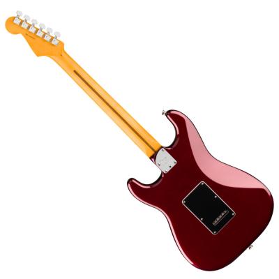 Fender フェンダー American Professional Stratocaster RW Oxblood エレキギター ストラトキャスター バック画像