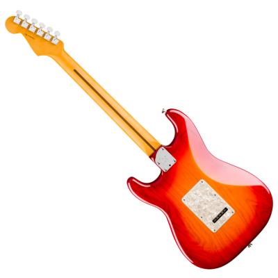 Fender フェンダー American Professional Stratocaster MN Aged Cherry Burst エレキギター ストラトキャスター バック画像