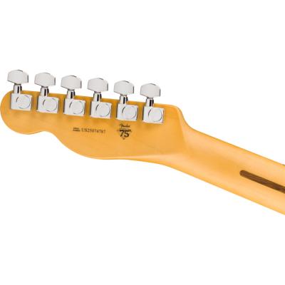 Fender フェンダー American Professional Telecaster MN Oxblood エレキギター テレキャスター ヘッドバック画像