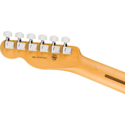 Fender フェンダー American Professional Telecaster MN Butterscotch Blonde エレキギター テレキャスター ヘッドバック画像