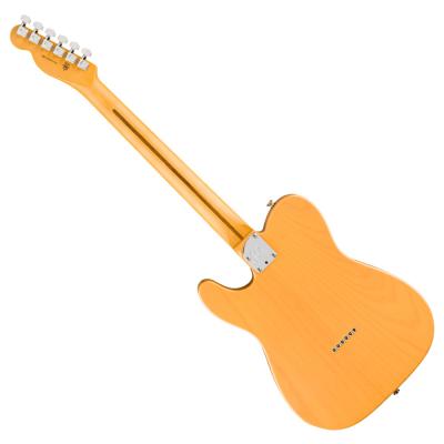 Fender フェンダー American Professional Hot Shot Telecaster MN Butterscotch Blonde エレキギター テレキャスター バック画像