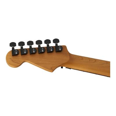 Charvel シャーベル Pro-Mod Plus Dinky DK24 HH FR EB Crimson Eclipse エレキギター ヘッド