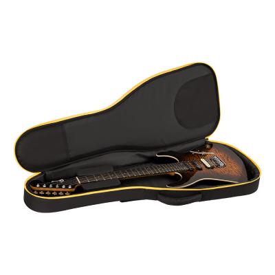 Charvel シャーベル Pro-Mod Plus Dinky DK24 HSS 2PT EB QM Amber Tiger Eye エレキギター ケース収納時