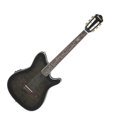 IBANEZ アイバニーズ TOD20FMN-BFL エレガットギター