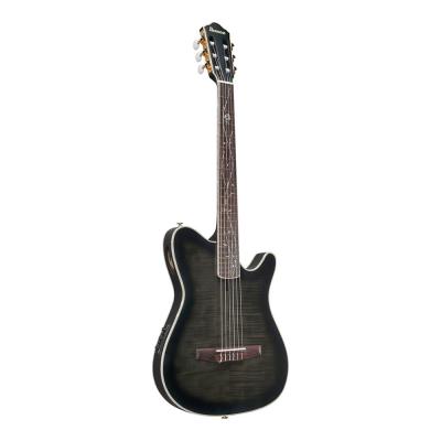 IBANEZ アイバニーズ TOD20FMN-BFL エレガットギター 全体