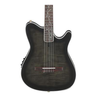 IBANEZ アイバニーズ TOD20FMN-BFL エレガットギター ボディ