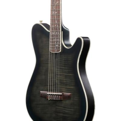 IBANEZ アイバニーズ TOD20FMN-BFL エレガットギター ボディ