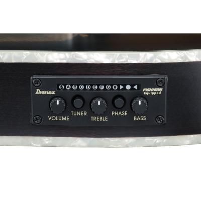 IBANEZ アイバニーズ TOD20FMN-BFL エレガットギター コントロール