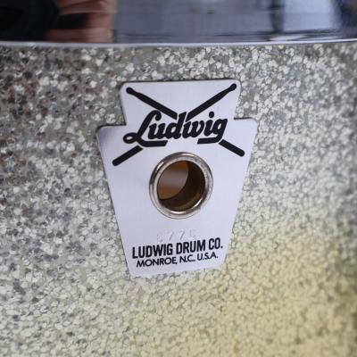 【中古】 スネアドラム ラディック LUDWIG Classic Birch Snare Drum 14×5 バーチシェル アップ