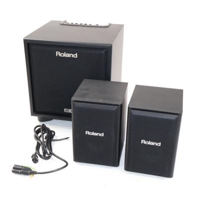 【中古】 2.1チャンネルモニターシステム Roland CM-110