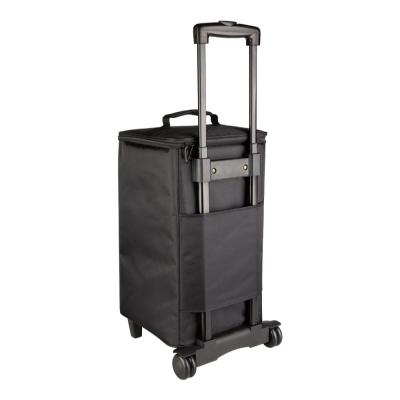 NUX ニューエックス NBA-200FR Busking 200FR w/ Trolley Bag 大容量リチウムバッテリー内蔵 FRFRスピーカー 専用キャリーバッグ付き 付属ケースリア画像