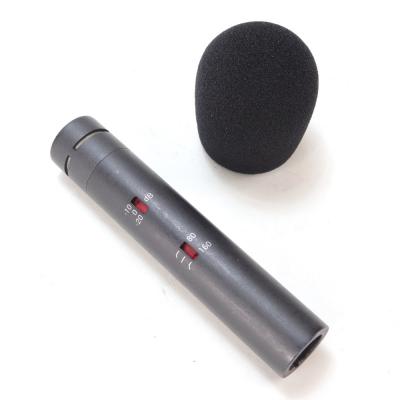 【中古】 sE ELECTRONICS sE8 コンデンサーマイク 斜めアングル画像1