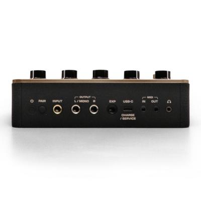 Positive Grid ポジティブグリッド Spark PEDAL アンプリグ エフェクトプロセッサー ルーパー フットペダル リア画像