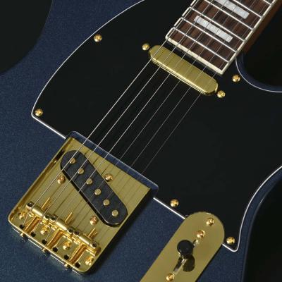 BACCHUS バッカス Universe Series BTE-1-RSM/R-LX DLPB エレキギター ピックアップ部